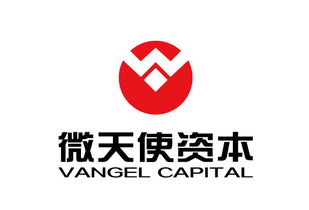 青岛微天使商务信息咨询管理企业 专业赋能商务决策
